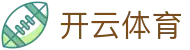 开云体育·kaiyun.com